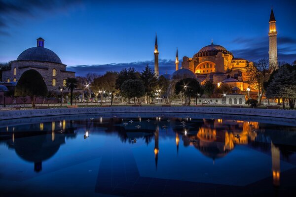 A beautiful night city in the reflection of water