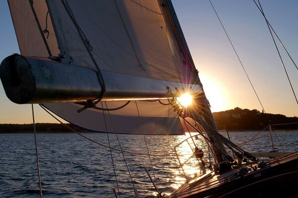 Yacht with a sail on the background of sunset