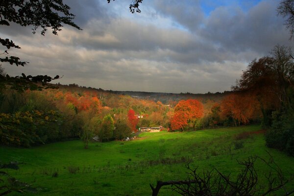 Foresta autunnale al tramonto. Angoscia