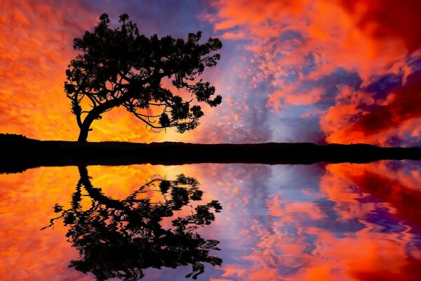 Coucher de Soleil écarlate dans la soirée au bord de l eau