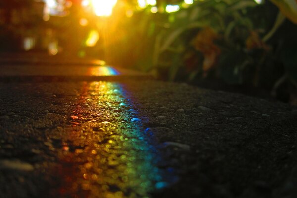 Arcobaleno asfalto natura bellezza