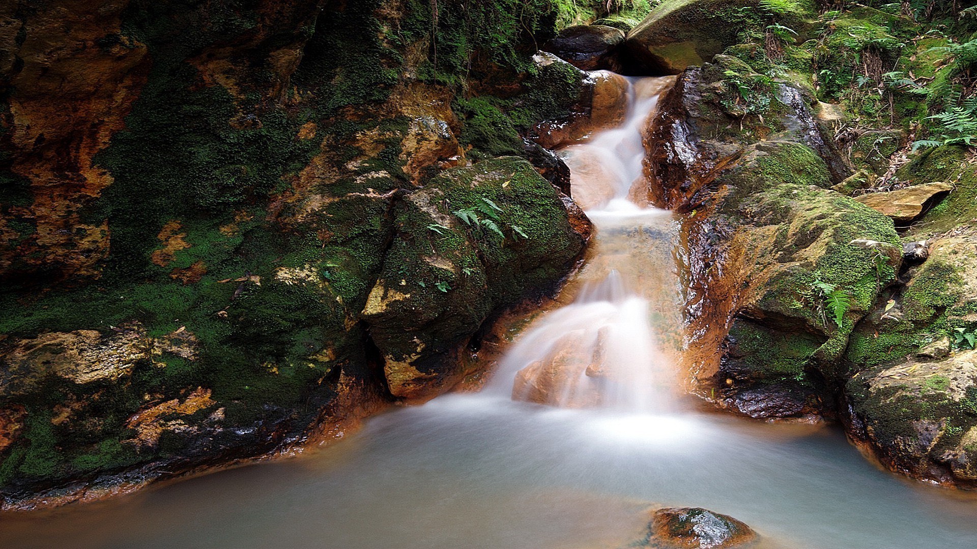 fiumi stagni e torrenti stagni e torrenti cascata acqua fiume roccia flusso legno cascata all aperto natura autunno foglia flusso muschio movimento creek viaggi albero rapids sfocatura