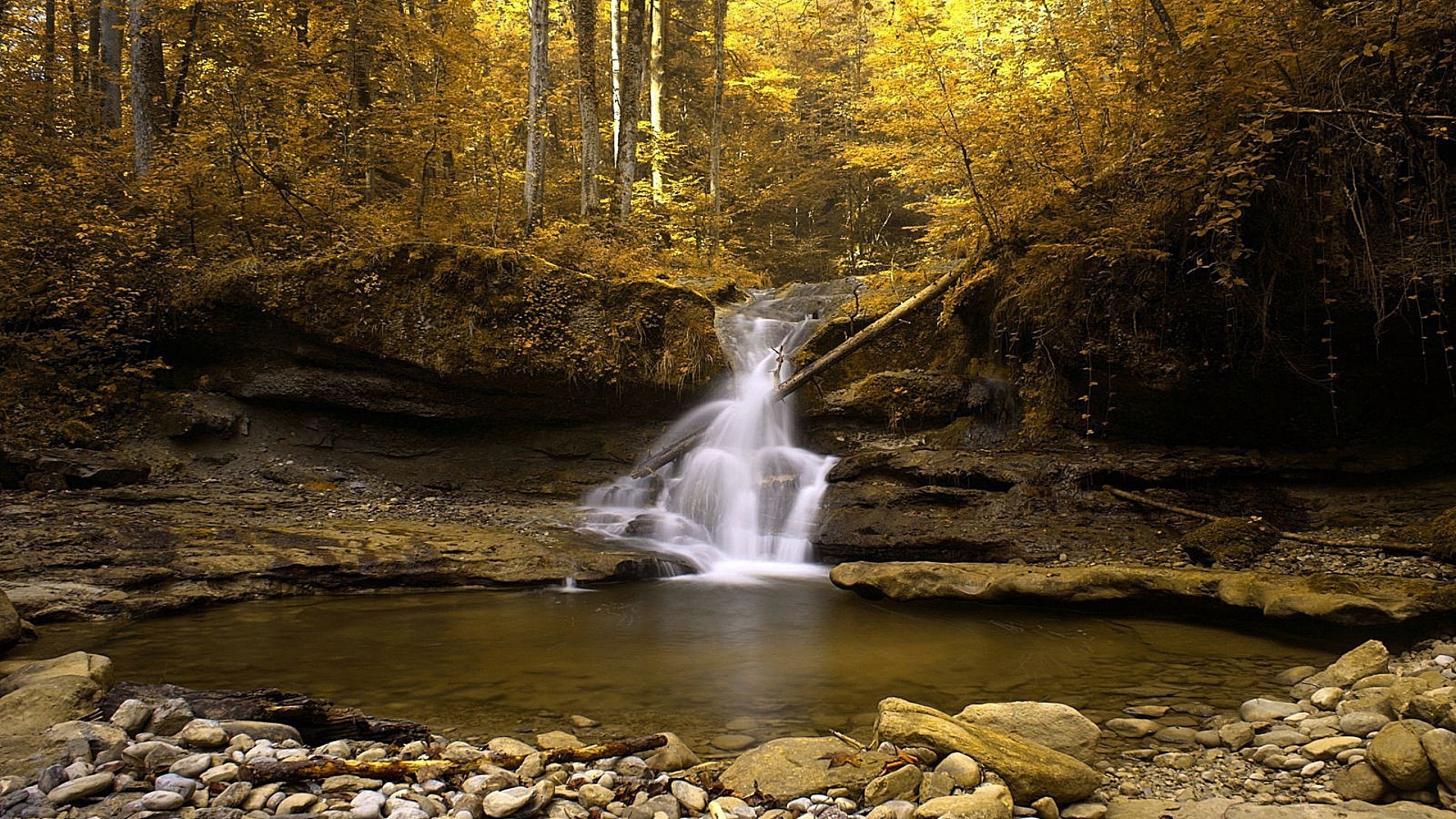 rivers ponds and streams water fall river waterfall stream rock nature landscape wood travel creek motion flow leaf tree outdoors park scenic cascade