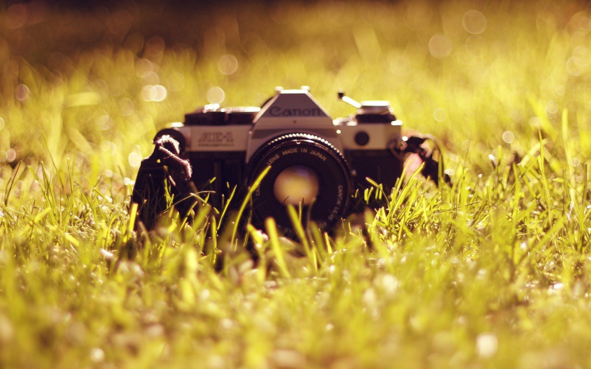 hardware field grass farm rural pasture summer sun countryside nature hayfield wheat crop agriculture soil sunset cereal outdoors landscape fair weather equipment