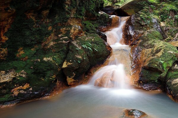 Hurra, um den Wasserfall vor neugierigen Blicken versteckt zu verlassen