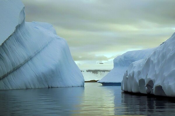 There are a lot of icebergs in the icy waters of the ocean