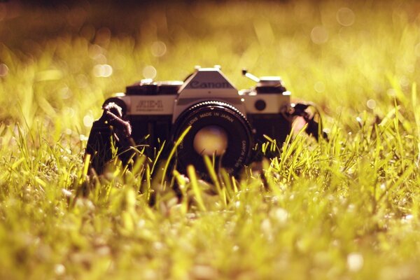 Camera shooting in the field on the grass