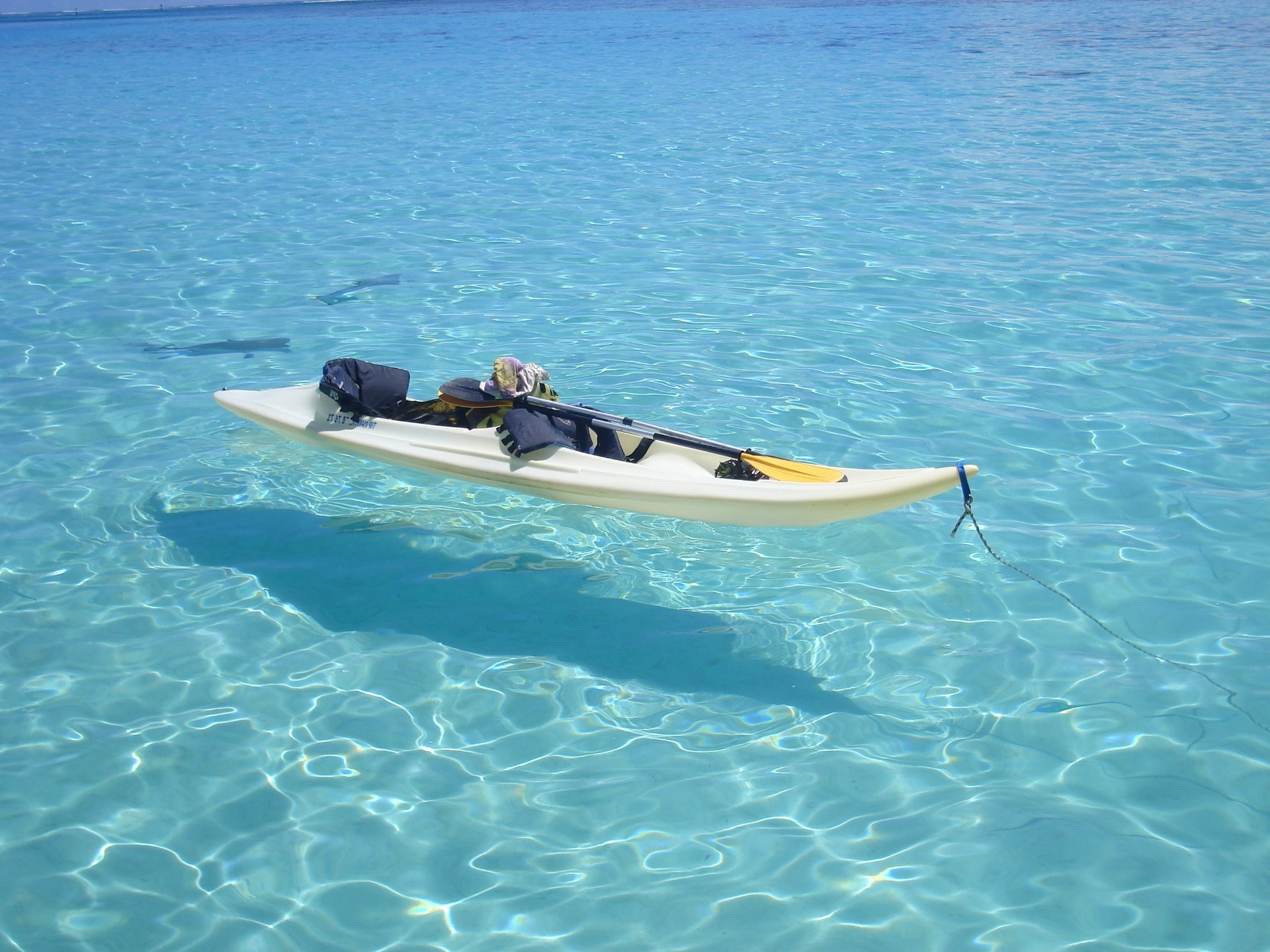 mer et océan eau voyage loisirs océan bateau plage tropical été vacances mer bateau île sable