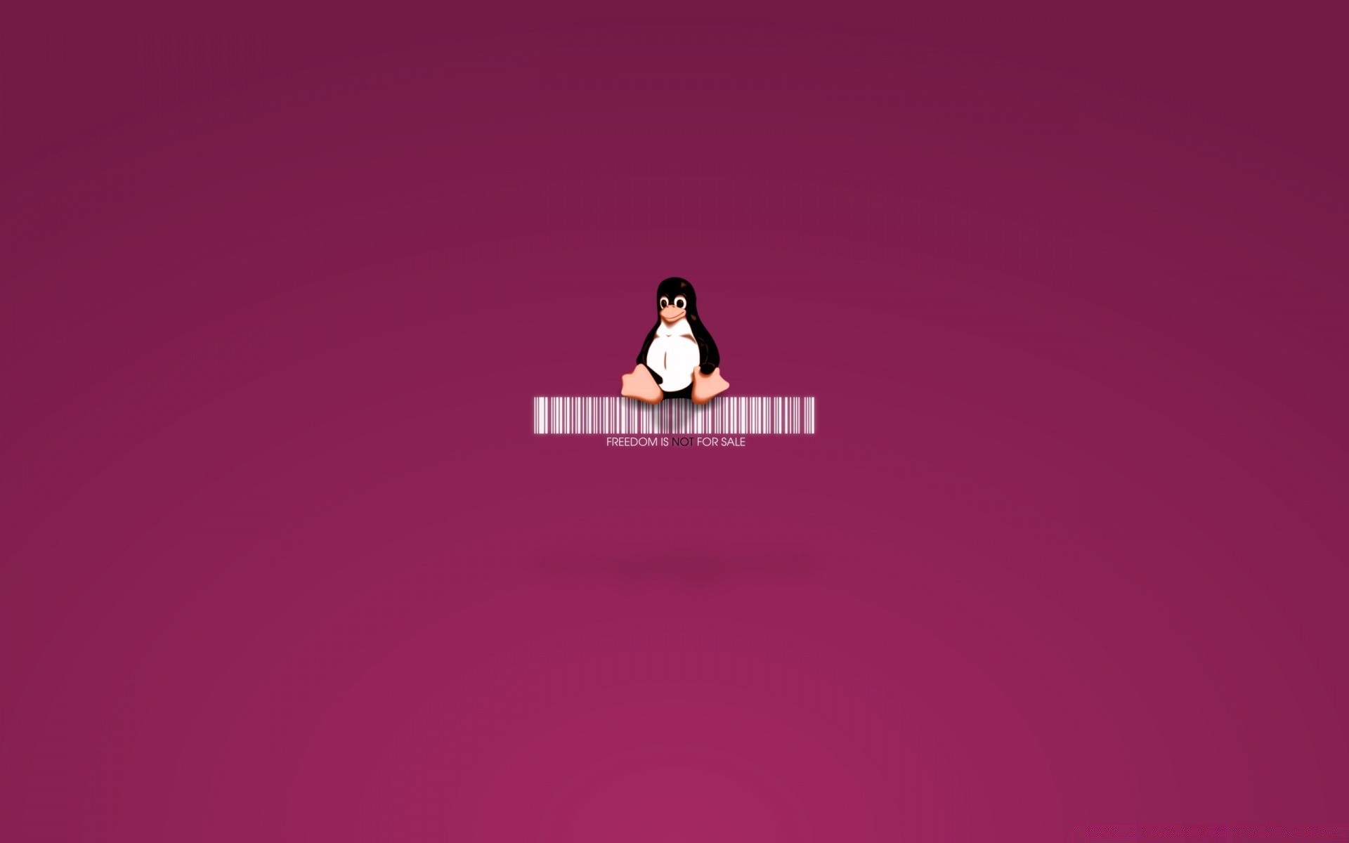 linux mulher