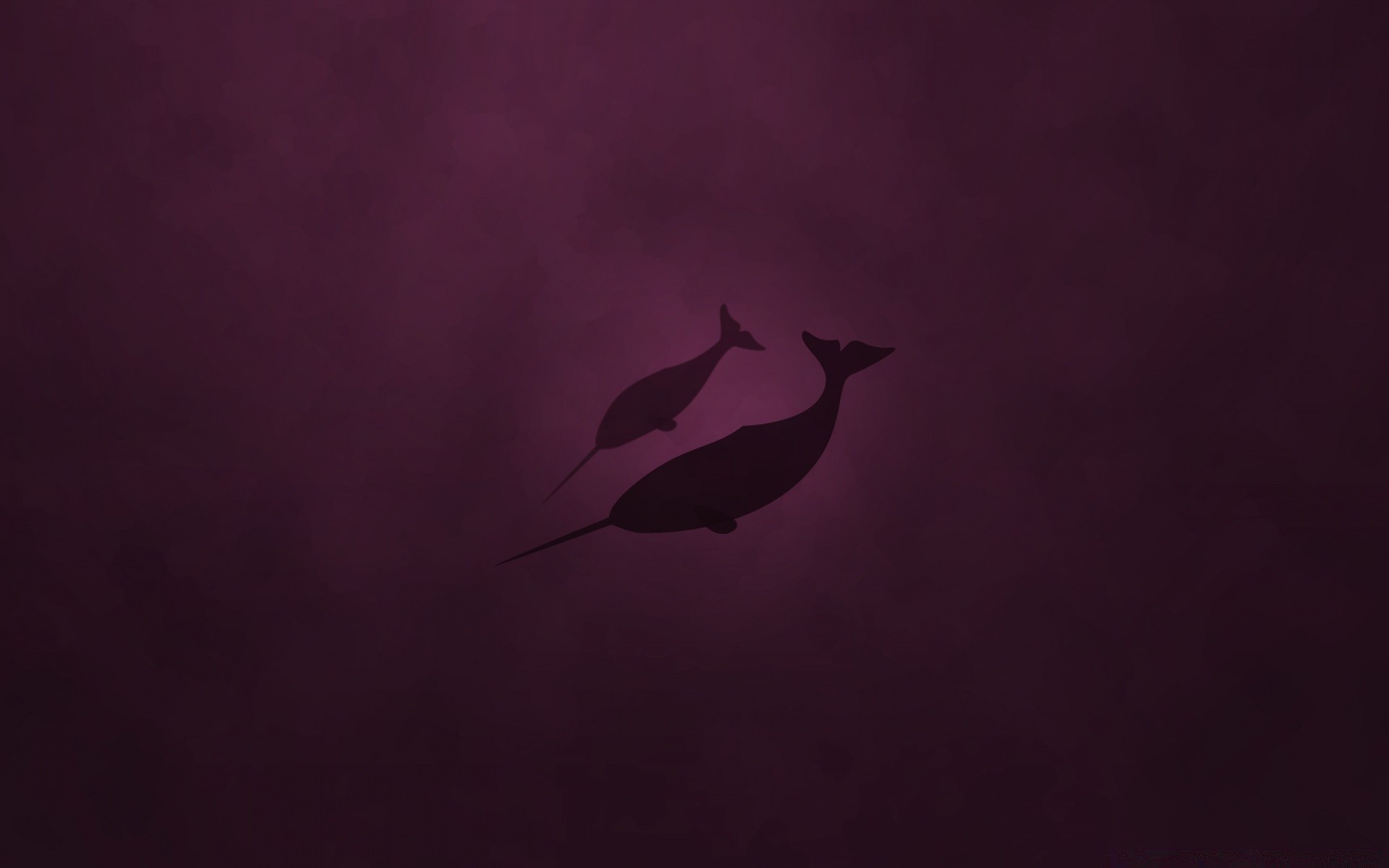 linux kunst silhouette vogel hintergrundbeleuchtung