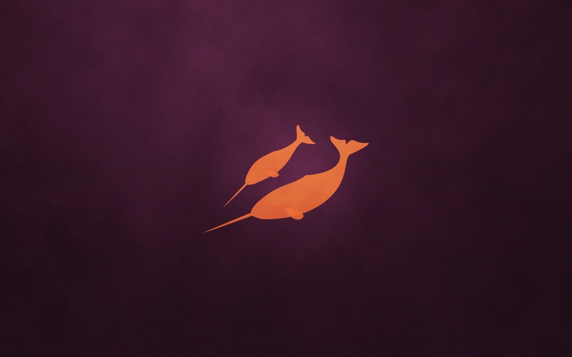 linux silhouette backlit abstract art one light desktop motion bird