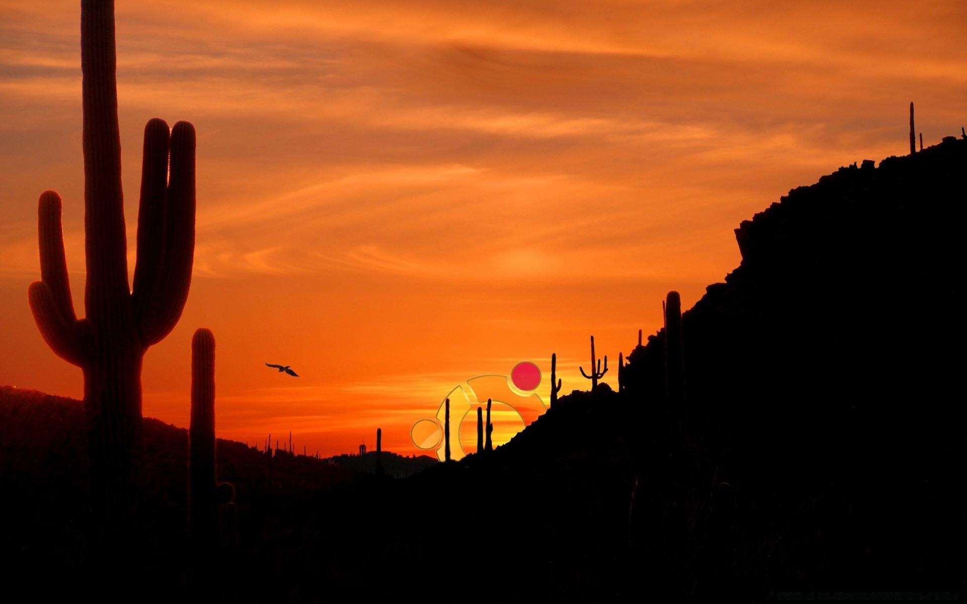 linux coucher de soleil silhouette aube rétro-éclairé cactus soir crépuscule soleil ciel lumière en plein air