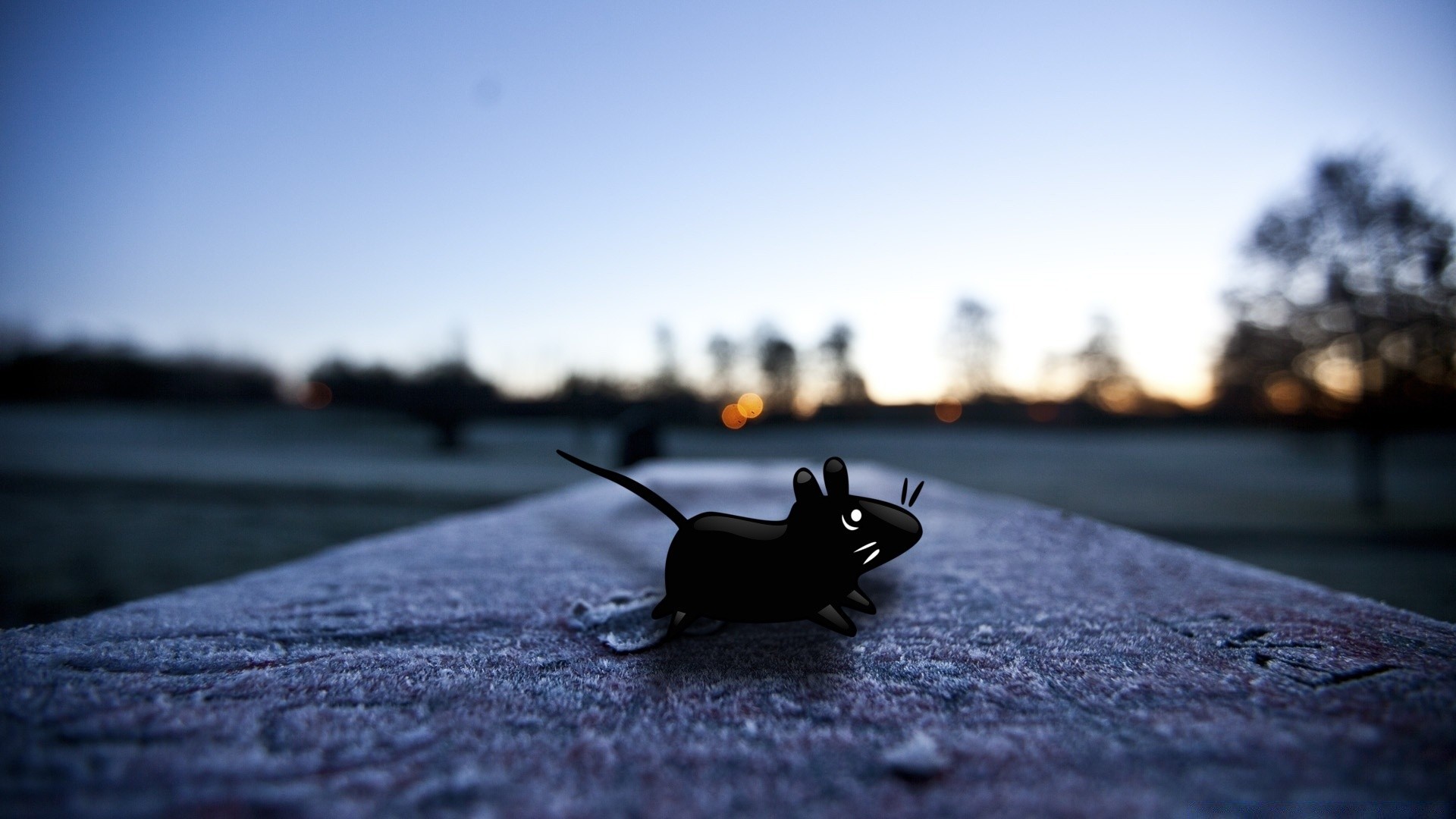 linux natureza ao ar livre pôr do sol inverno vida selvagem verão