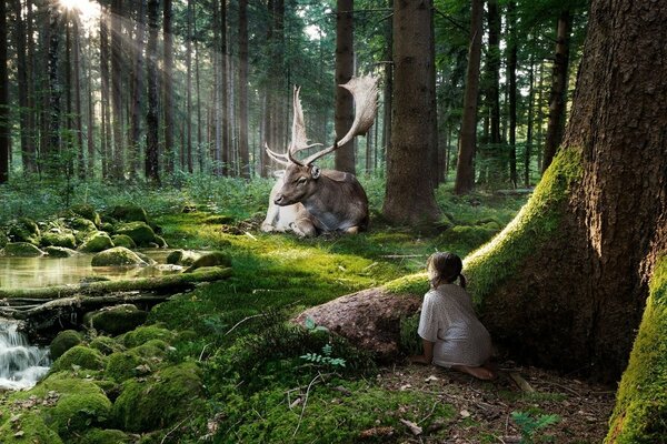 Fille dans la forêt en regardant les animaux magiques