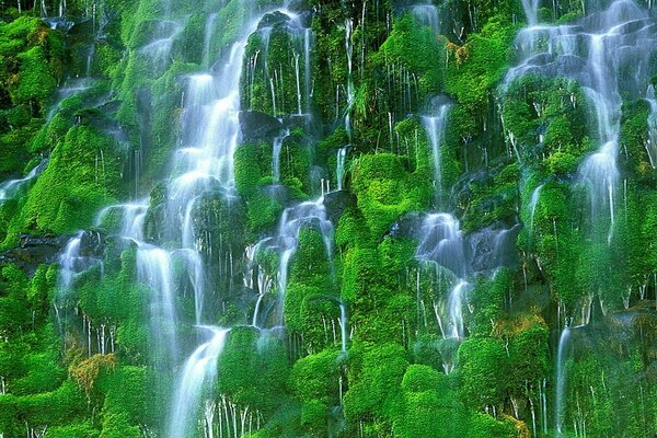 Hermosas cascadas con rocas verdes