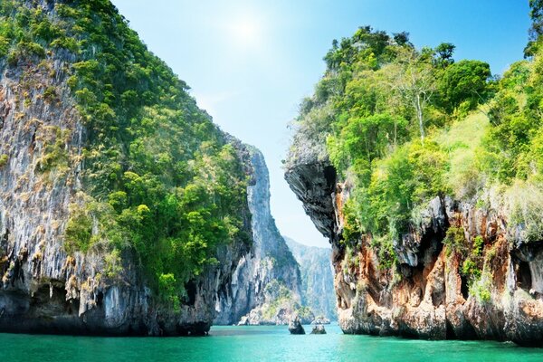 Roches avec des variétés d arbres et entouré par l océan