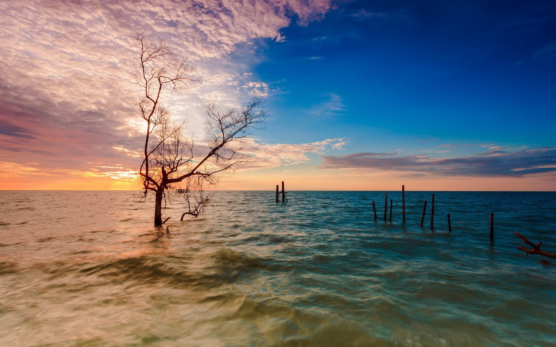 sea and ocean water sunset beach dawn sun sea ocean landscape sky summer seashore travel seascape dusk nature evening fair weather