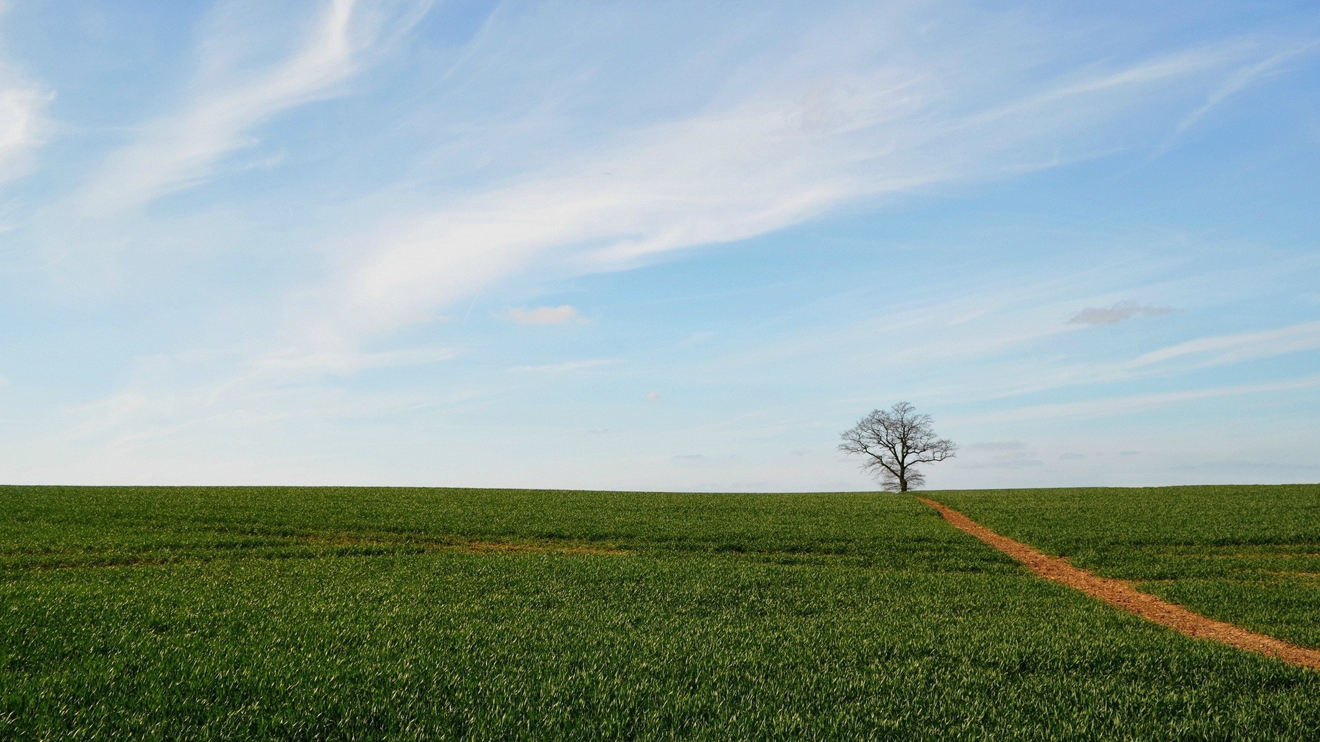 felder wiesen und täler feld landschaft landwirtschaft bauernhof natur des ländlichen raumes gras landschaft weide himmel boden sommer horizont sonne heuhaufen wachstum bebautes land im freien baum