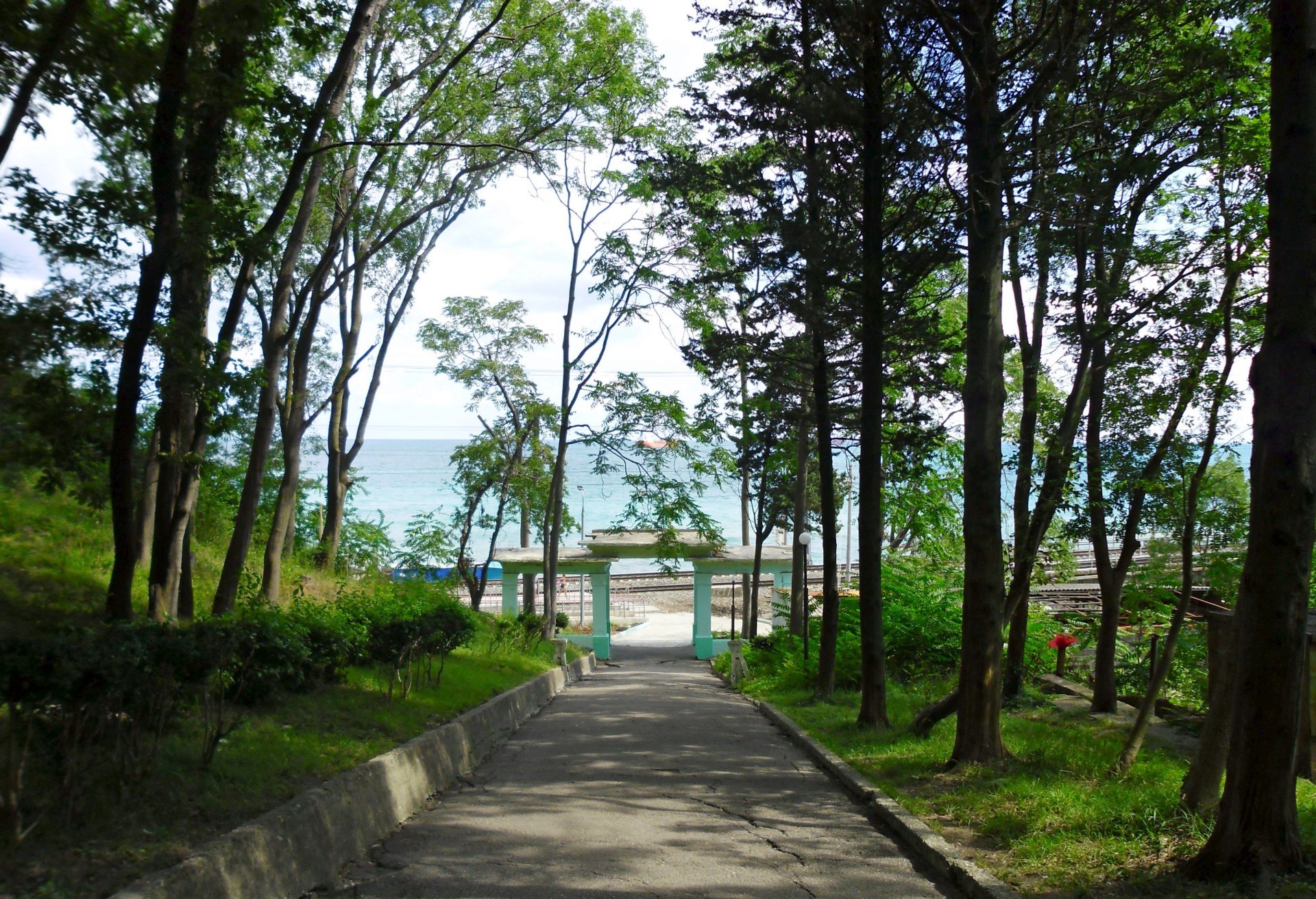 road tree wood landscape guidance nature park environment grass outdoors daylight summer leaf fair weather footpath flora light rural lush