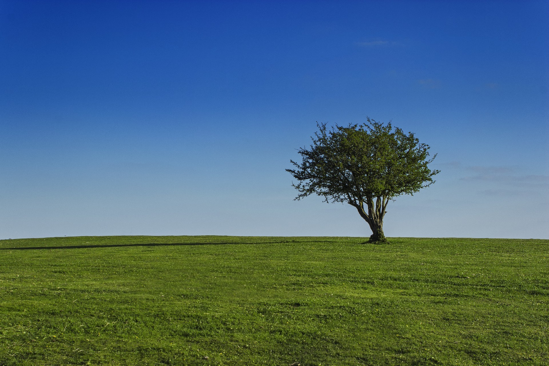 fields meadows and valleys landscape grass nature tree sky countryside outdoors rural field alone sun grassland dawn fair weather summer