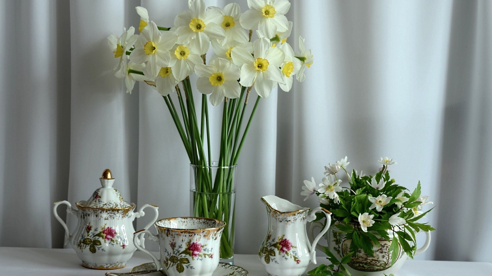 fiori fiore vaso natura flora foglia bouquet pasqua fiore vaso