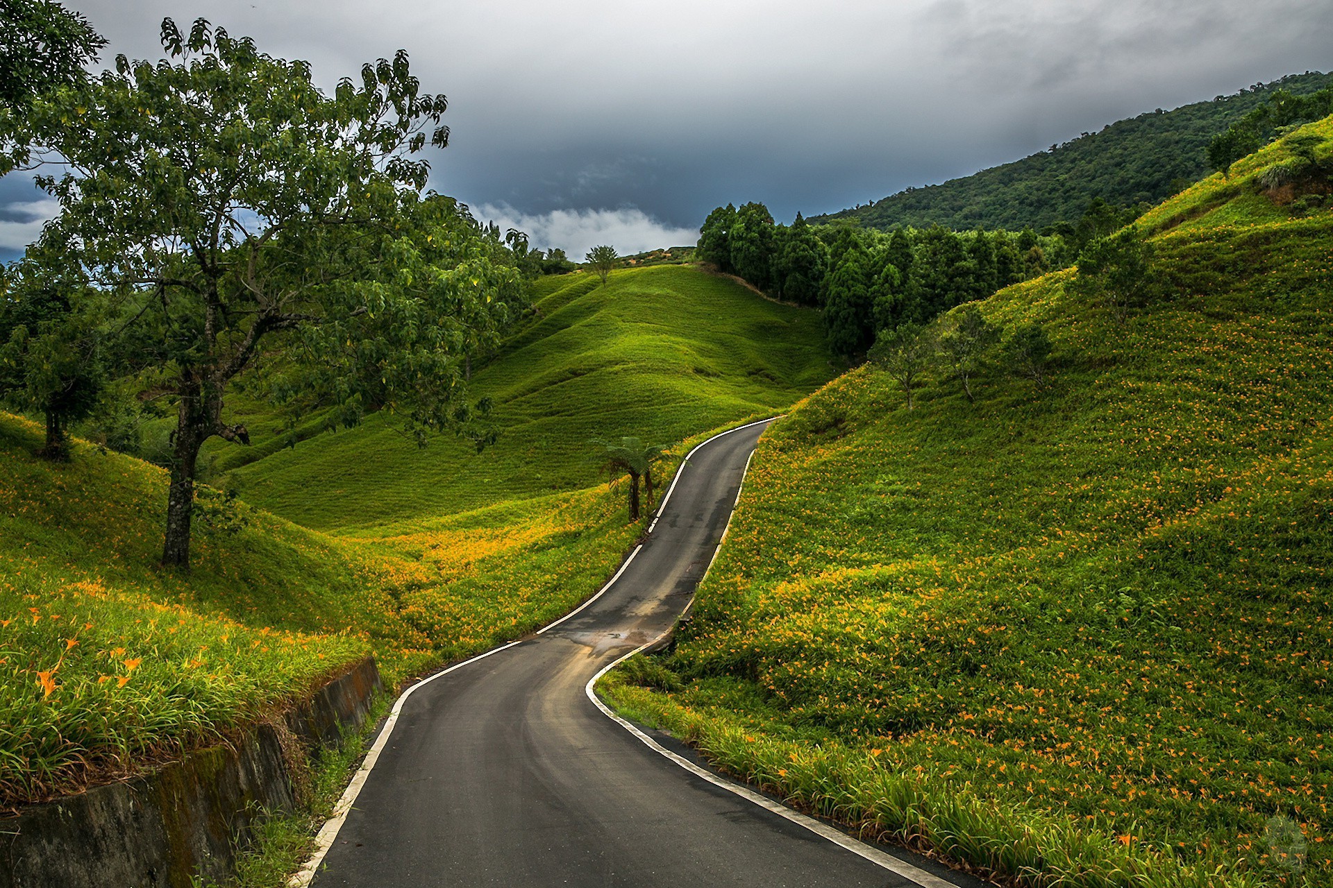 straße landschaft natur reisen gras landschaft ländliche im freien baum führer himmel berge hügel sommer landschaftlich holz