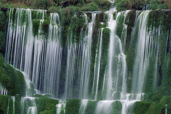 Cascade of waterfalls in greenery