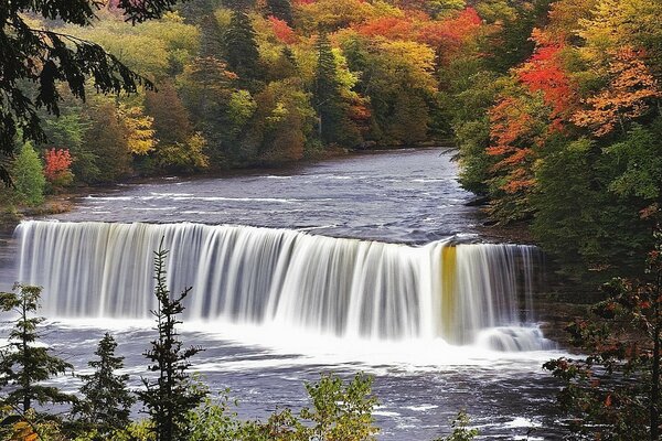 Wasserfall Wald Natur Herbst