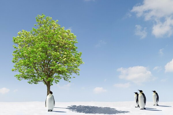 Pingüinos rey en el árbol verde