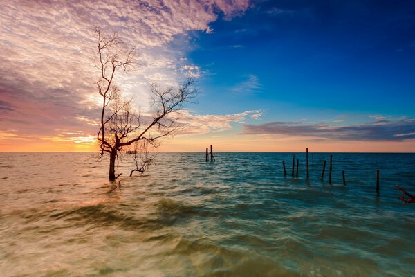 海上的潮水淹没了沿海地带