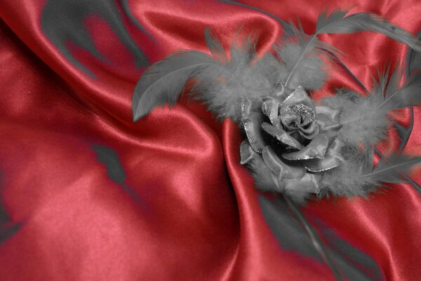 Black rose with feathers on red silk