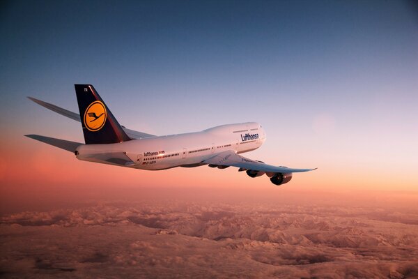 Flugzeug am Himmel über den Wolken