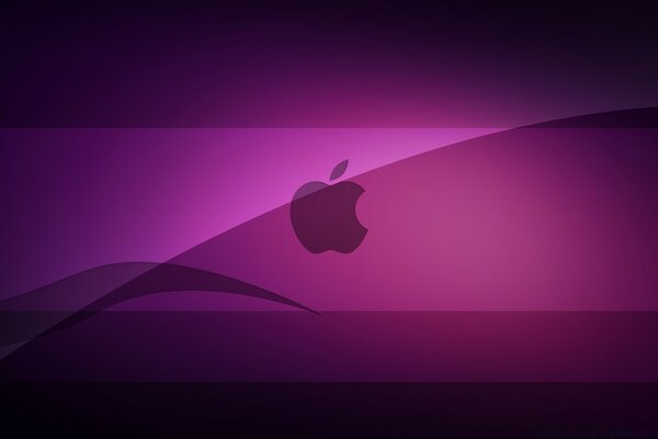 Apple silhouette on a lilac background