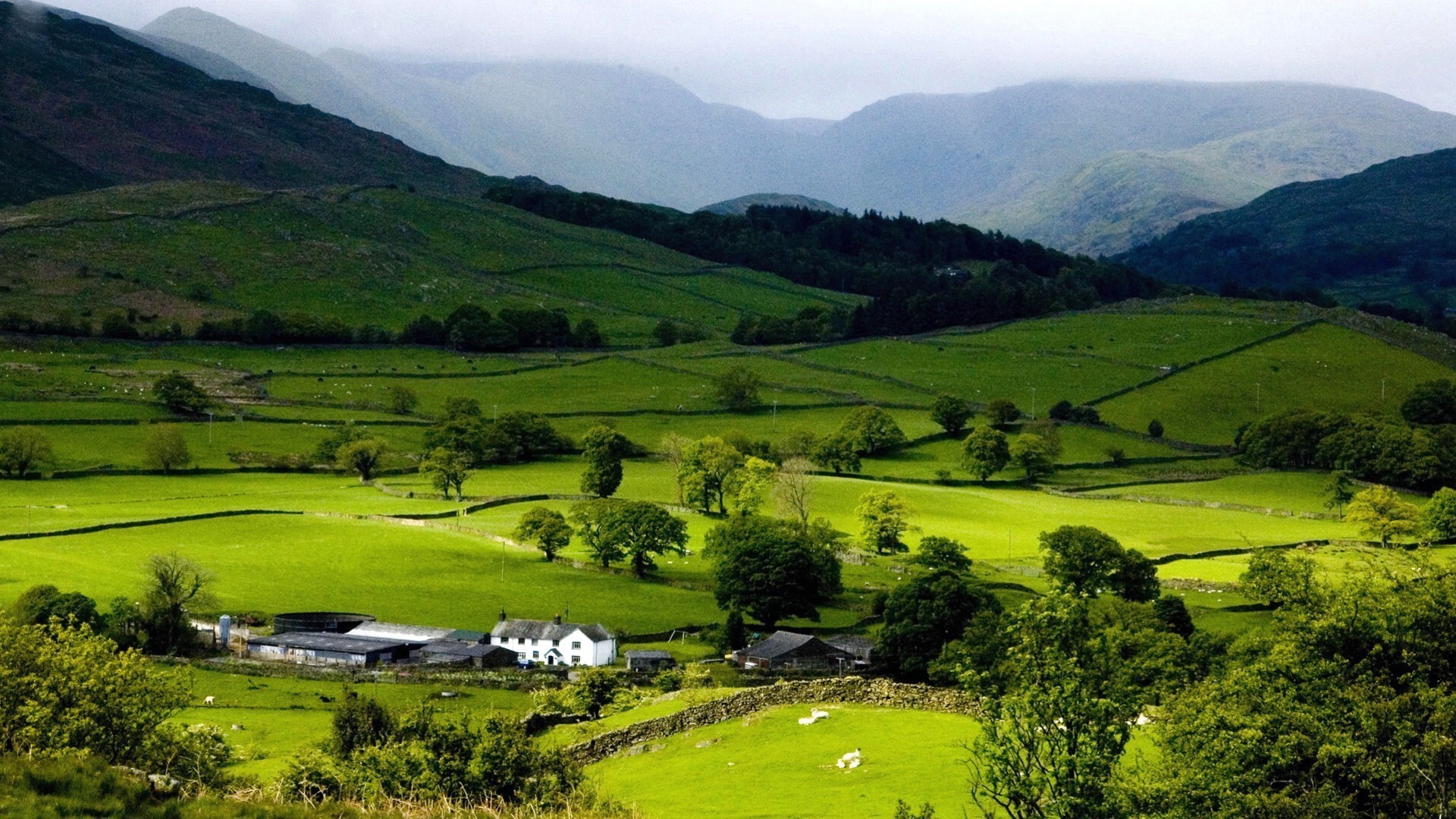 paisaje paisaje valle colina agricultura naturaleza montañas tierras cultivadas árbol escénico granja campo hierba viajes heno al aire libre campo verano casa pasto