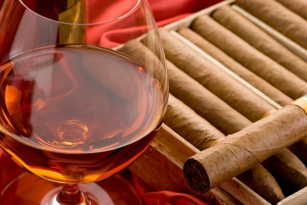 Expensive cognac and cigar