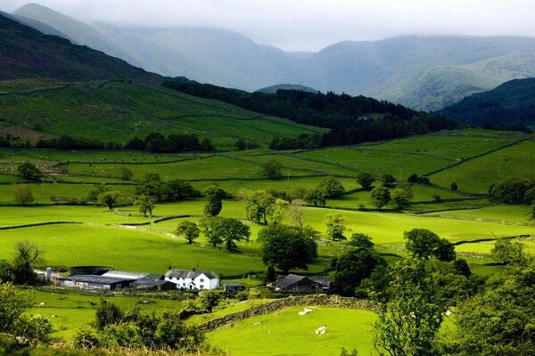 A lonely house in a green valley