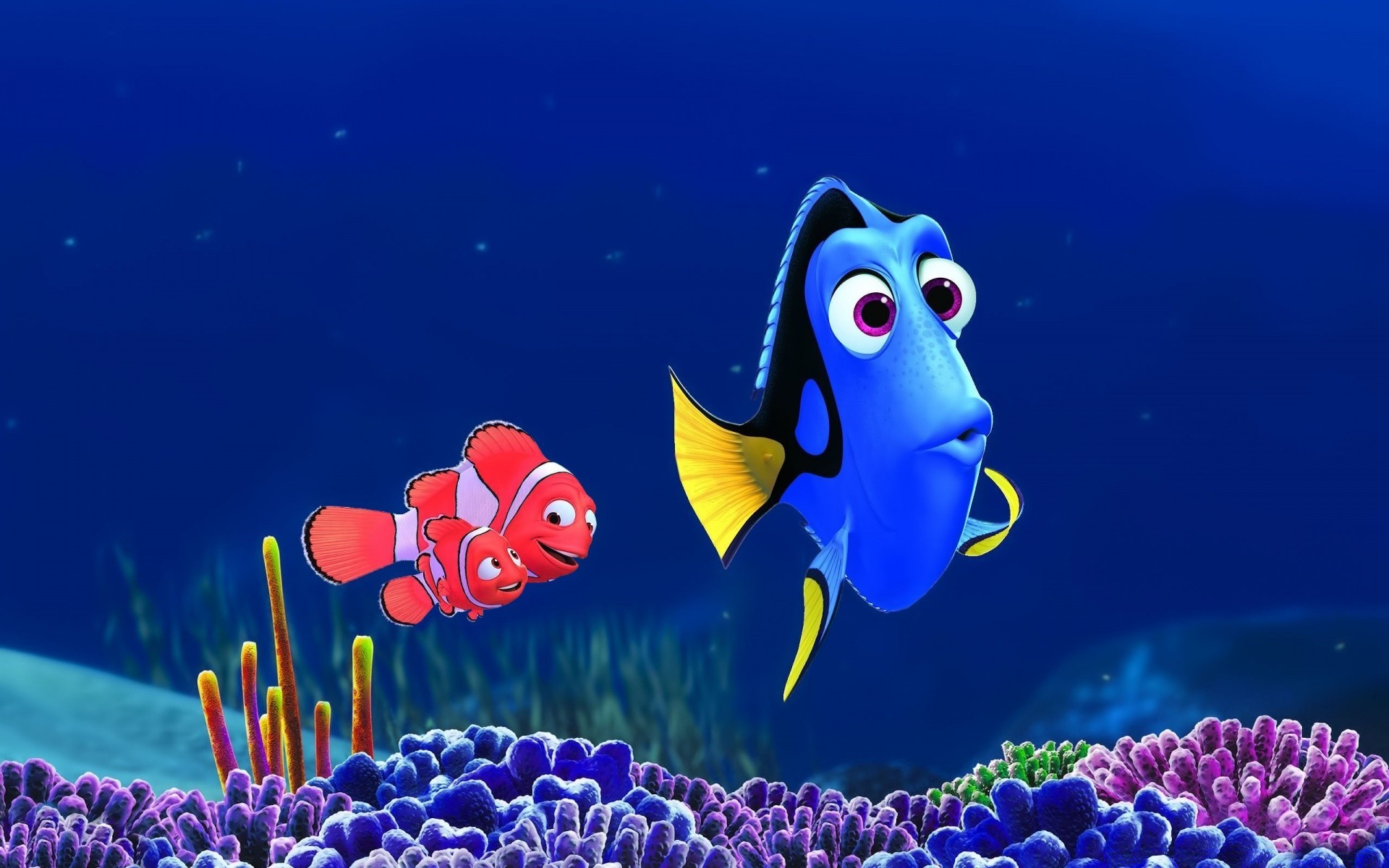 cartoni animati subacquea corallo pesce acquario barriera corallina anemone natura acqua acquatico animale oceano marino profondo mare tropicale immersioni nuoto fauna selvatica invertebrati colore