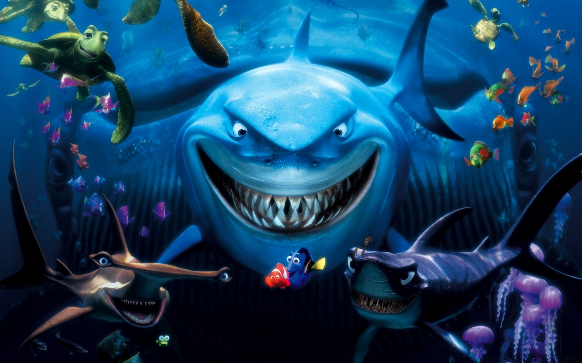 cartoons unterwasser fische wirbellose korallen