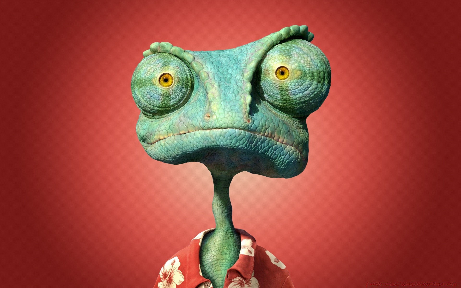 dibujos animados gazoo animal naturaleza vida silvestre