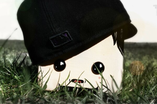 Toon in un cappello sull erba