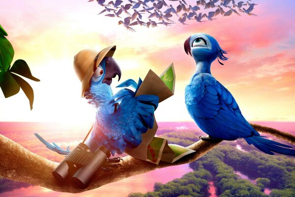 Couple de perroquets bleus du dessin animé