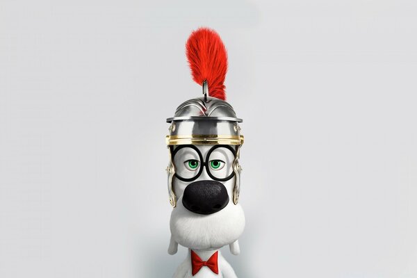 Kırmızı tüylü kasklı beyaz köpek