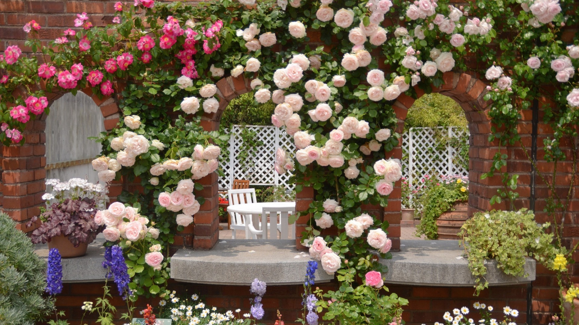 fleurs fleur jardin flore rose arrangement floral arbuste décoration géranium pot hortensia patio planteur ivy maison architecture cour floral été