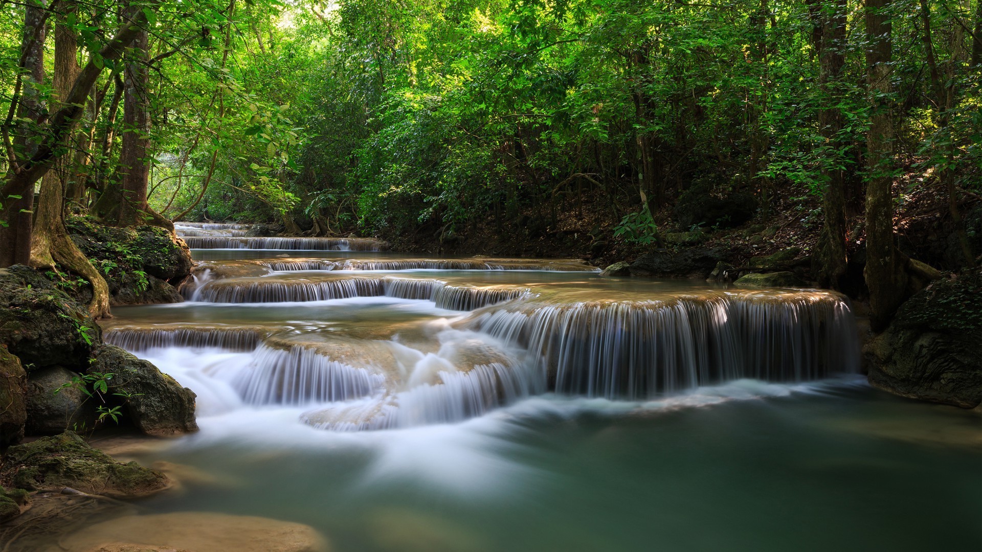 cascadas agua cascada río corriente cascada naturaleza madera corriente grito hoja movimiento roca otoño viajes mojado limpieza musgo al aire libre - rapids