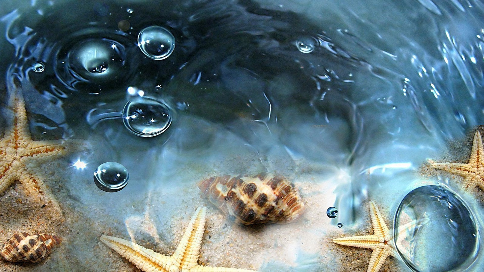 mieszkańcy oceanów i rzek woda podwodny pulpit mokry natura ryby bańka morze ocean