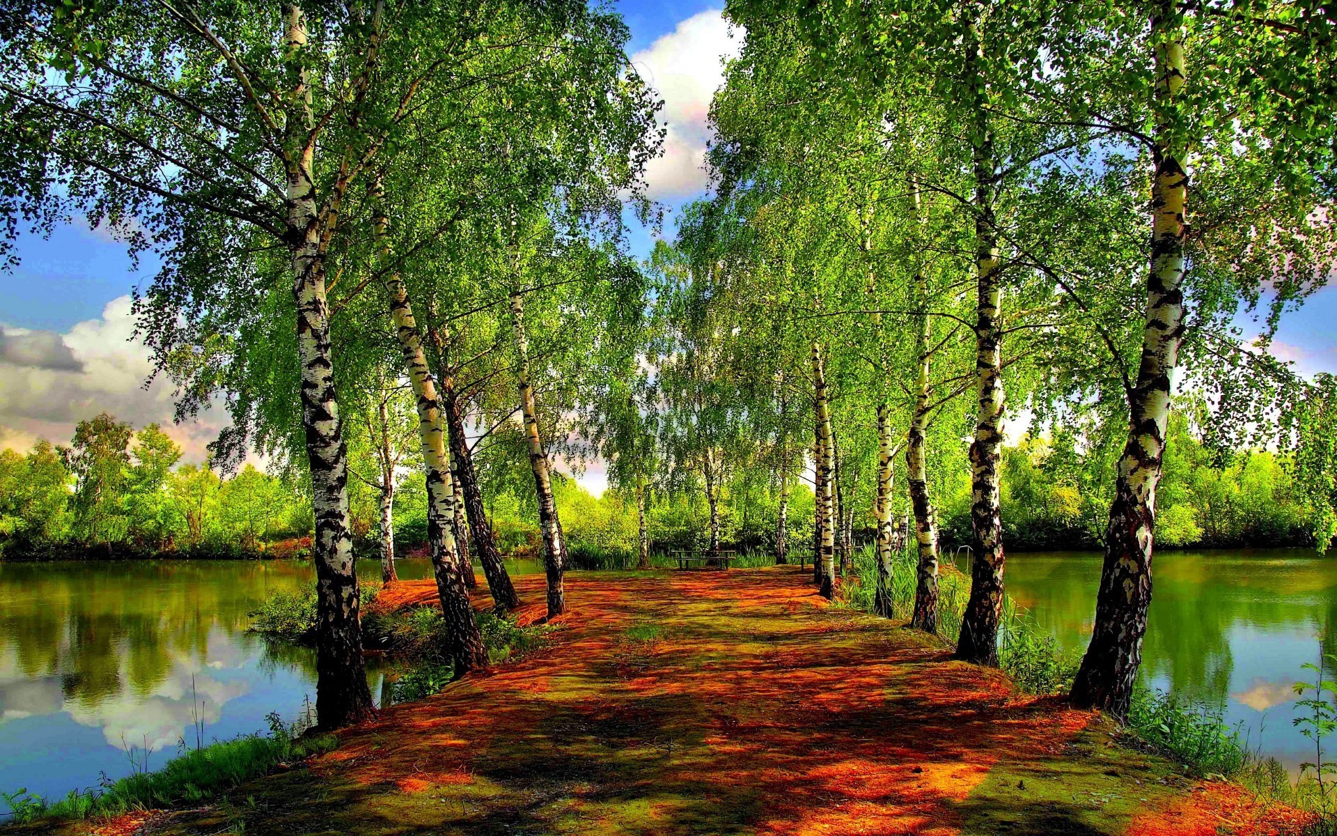 flüsse teiche und bäche teiche und bäche natur blatt holz landschaft baum sommer gutes wetter sonne park wasser üppig see hell umwelt schwimmbad ländlichen