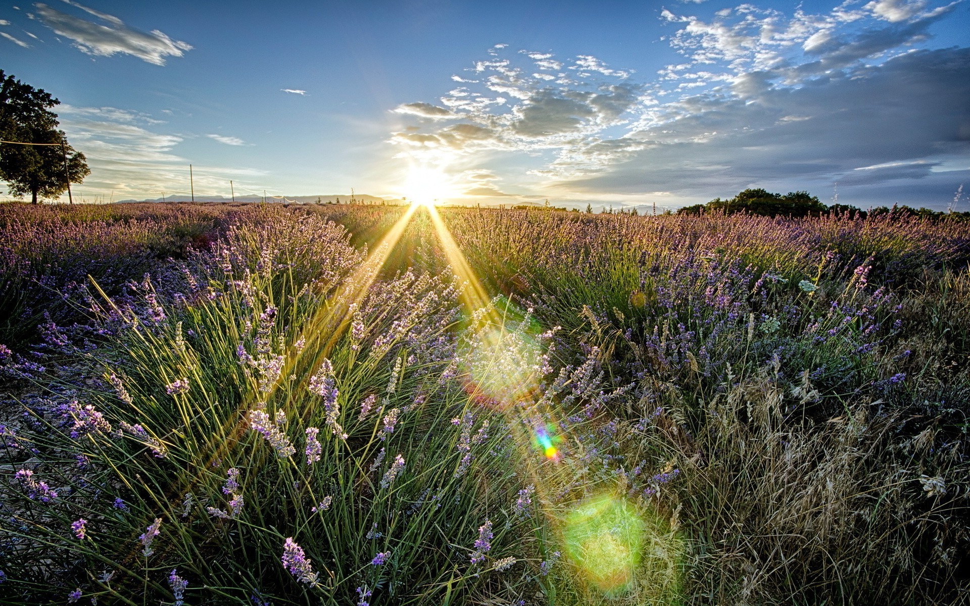 campi prati e valli natura paesaggio campo erba sole fieno cielo rurale tramonto campagna all aperto alba fiore estate bel tempo luminoso spettacolo