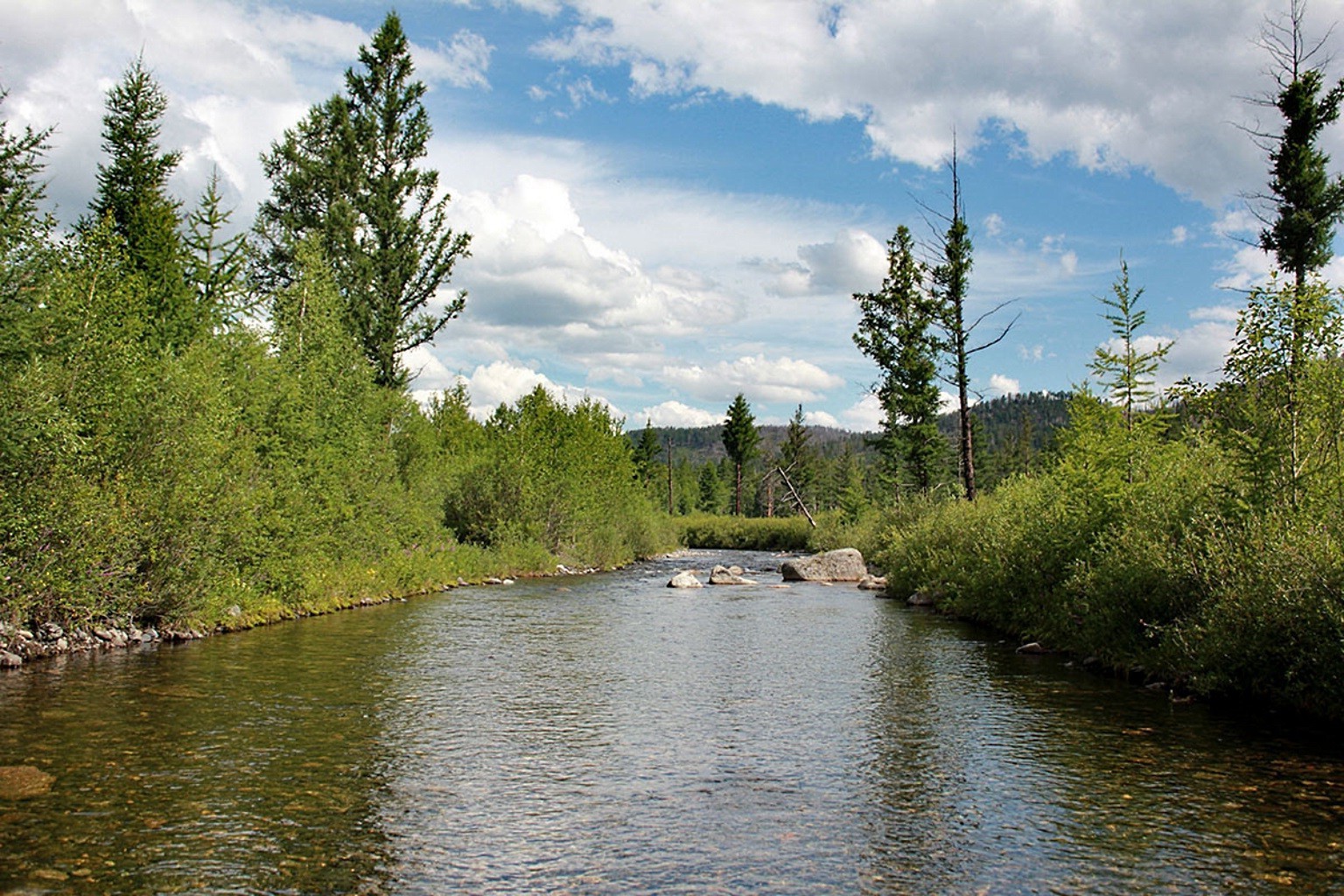 rivières étangs et ruisseaux étangs et ruisseaux eau rivière lac paysage nature bois à l extérieur bois réflexion ciel été voyage scénique parc