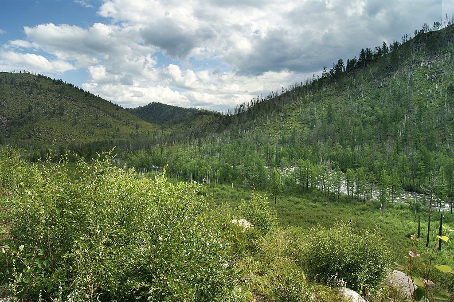 landschaft landschaft natur holz holz berg himmel im freien reisen hügel landschaftlich sommer gras spektakel tal flora umwelt landschaft ländliche heuhaufen