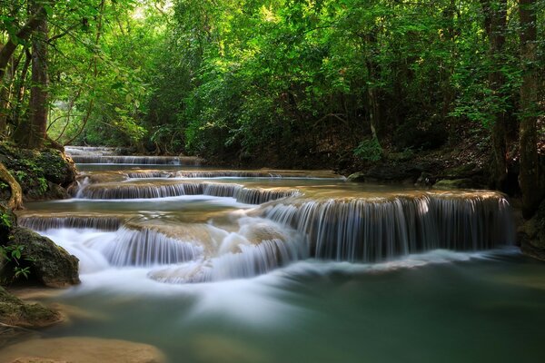 Kaskadierender Wasserfall im grünen Wald